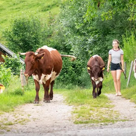 Gasperhof Апартаменты Деллах