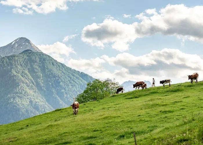 Gasperhof Appartamento Dellach (Hermagor)