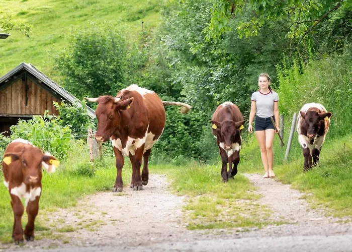 Gasperhof Appartamento Dellach (Hermagor)