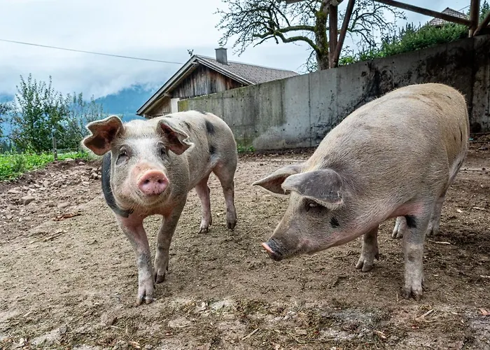 Gasperhof Appartamento *